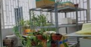 BÁN NHÀ QUẬN TÂN PHÚ ĐƯỜNG THOẠI NGOC HẦU DƯỚI 5 TỶ