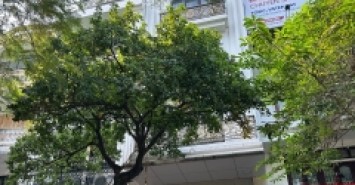 Bán nhà mặt phố Phố Huế, 140m2, 10 tầng 2 hầm, mặt tiền 7.2m, 159 tỷ, vỉa hè rộng, KD đỉnh