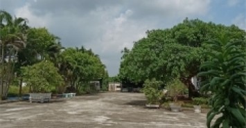 Bán đất Phường đại yên, TP Hạ Long, Tỉnh Quảng Ninh : DT 180m2
