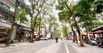 KĐT Định Công, Mặt Phố Trần Nguyên Đán 81m x 4T, Giá Hơn 23 tỷ.