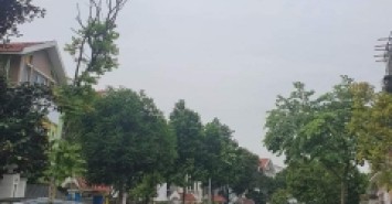 Biệt thự đẹp khu đô thị Văn Phú, Hà Đông, 215m2, MT: 9,6m, Vị trí siêu đẹp Giá siêu tốt