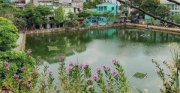 Nhà đẹp Nguyễn Thị Định, ô tô ngủ nhà, sát hồ, 4 tầng, 50m2, chỉ 158triệu/m2
