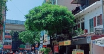 MẶT PHỐ_LÔ GÓC 3 THOÁNG_33M_6.75 TỶ_KINH DOANH
