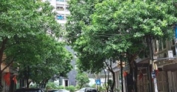 Đấu giá  Ngô Thì Nhậm 48m2  4tầng 4  m mặt tiền8.8tỷ  Hà Đông 
????VỊ TRÍ : 
????????????SIÊU PHẨM --- PHÂN LÔ OTO TRÁNH KINH DOANH ĐA DẠNG --- KHU VỰC VIP -NGÔ THỊ NHẬM --- NHÀ THIẾT KẾ 4 TẦNG --- DÂN XÂY KIÊN CỐ .????????????