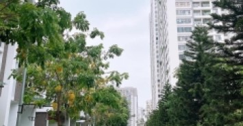 Nhà Vườn quận Thanh Xuân, Imperia Garden 203 Nguyễn Huy Tưởng 170m x 5T, Giá 4x tỷ.