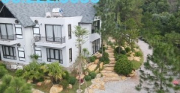 Bán 3600m2 sẵn villa kinh doanh tại Sóc Sơn, Hà Nội