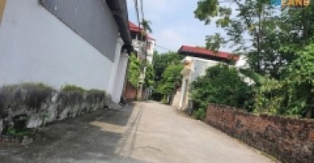 Chính chủ bán 106m Lương Quy -Xuân Nôn-Đông Anh Hà Nội. đường thông ô tô vào tận đất