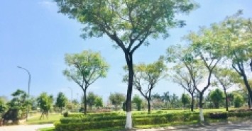 NHÀ ĐẸP 3 TẦNG NGAY CÔNG VIÊN THANH NIÊN,  ĐƯỜNG HOÀNG DƯ KHƯƠNG, KHUÊ TRUNG, CẨM LỆ, ĐÀ NẴNG