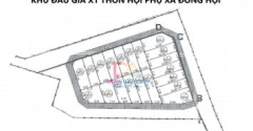 Bán đất đấu giá X1 Hội Phụ Đông Hội Đông Anh , gần dự án Vin Cổ Loa tiềm năng cực lớn