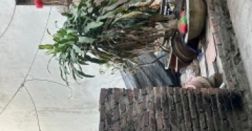 Bán đất Việt Hưng - Oto đỗ cổng -ô tô tránh cực gần Vuông như bánh chưng-50m 6 tỷ (TL)