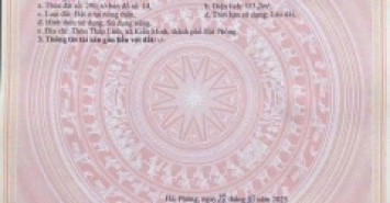 Mặt đường 362 Minh Tân  113,2m² trục lớn 30m – hàng hiếm kinh doanh  ZALO 0567 222 555