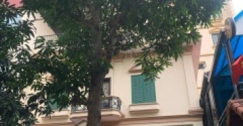 Biệt thự sân vườn Nguyễn Văn Cừ-Ngọc Lâm, 305m x 4 tầng, mặt tiền 12m, ôtô tránh, sân vườn để được 5 ôtô, full thổ cư