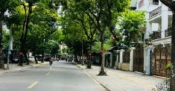 Bán nhà LK phố Thành Thái - KĐT Dịch Vọng - 105m 5 Tầng - Ô Tô Vỉa Hè - Gần Công Viên Cầu Giấy