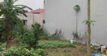 Nhỉnh 2 Tỷ nhập khẩu phường Xuân Hòa, Phúc Yên, Vĩnh Phúc