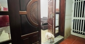 BÁN NHÀ NGUYỄN KHANG – NHÀ ĐẸP DÂN XÂY – BA BƯỚC RA PHỐ - AN SINH ĐỈNH - 5 TẦNG x 48.5M2, MT 4.2, 5.75 TỶ