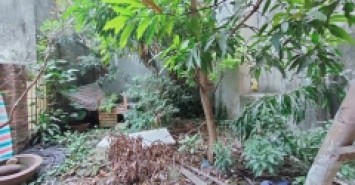 Nhà Mặt ngõ Đống Đa vỉa hè, ô tô tránh DT 65m2, 5T, Mt6.3m giá 12 tỷ (thương lượng)