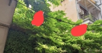Siêu cơ hội đầu tư - Bán nhà đường Láng, DT 208m2, MT 8m, giá 19 tỷ (thương lượng)