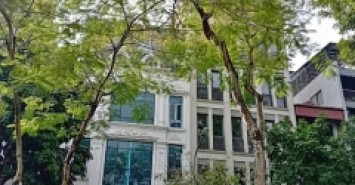 Rẻ hơn 600 triệu, chính chủ bán nhà 7T đẹp nhất Hoàng Cầu – Đống Đa, kinh doanh ngày đêm