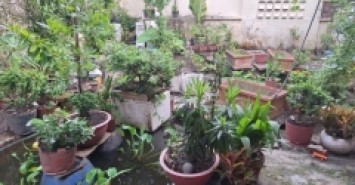 Bán nhà ngõ Trần Quang Khải, Hiệp Phú, Q.9, 160m2, 3 tầng, 3PN, SH, 11.35  tỷ.