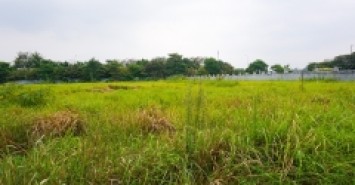 Bán 3500m2 đất cụm công nghiệp Ninh Hiệp, Gia Lâm, Hà Nội. Lô 2 mặt tiền