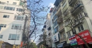 Bán Nhà Mặt Phố Nguyễn Trường Tộ Quận Ba Đình. 178m Nhỉnh 80 Tỷ. Cam Kết Ảnh Thật Mô Tả Chính Xác. Chủ Thiện Chí Cần Bán Nhanh. 2201