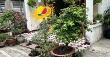 Nhà hẻm 276/91/11 Thống Nhất, Phường 16, Gò Vấp, Hẻm 3m, 10x22m, Cn 218,9 m2, Cấp 4, 16,5 tỷ TL