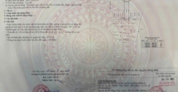 Đất hẻm 215 Phan Huy Ích, Phường 14, Gò Vấp, Hẻm 7m thông, 4x16,25m, Cn 65 m2, 7,96 tỷ TL, 2 lô