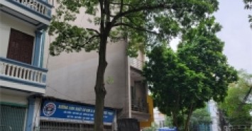 Bán Đất TĐC Trục Đường Cổ Linh DT110m2, MT5m, Vỉa Hè, Kinh Doanh Giá 12.5 Tỷ