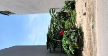 Trung tâm Trâu Quỳ, Gia Lâm 60m2 ô tô tránh chỉ 8 tỷ hơn đầu tư cực tốt. Lh 0989894845