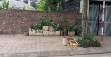 Bán đất đấu giá xã Thuận An, Hà Nội. Lô góc 115m2 đường 12m vỉa hè. Lh 0989894845