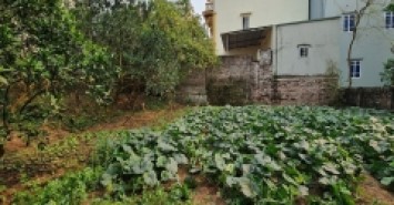 Chỉ 35 tr.m2 cho đất Gia Lâm, Hà Nội đường ô tô 7 chỗ thông. Lh 0392248515