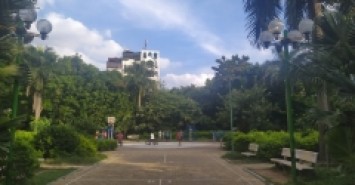 Hoàng Cầu, ô tô qua nhà, lô góc, ngõ thông, sát vườn hoa, ở & kinh doanh đều tốt, nhỉnh 8 tỷ