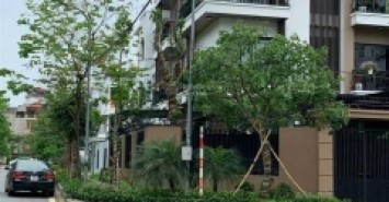BÁN BIỆT THỰ VƯỜN ĐÀO - LẠC LONG QUÂN - TÂY HỒ. DT370M2. GIÁ 150 TỶ