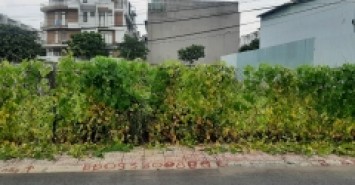 Bán Lô Đất Biệt Thự 2 Mặt Tiền Đường Số 3 Hiệp Bình Phước - Thành Phố Thủ Đức