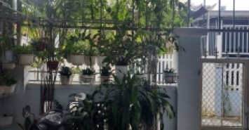Sở Hữu Ngay Căn Nhà Cấp 4 Kiệt Bình Thái- Quận Cẩm Lệ- TP Đà Nẵng