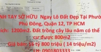 NHANH TAY SỞ HỮU  Ngay Lô Đất Đẹp Tại Quận 12, TP HCM