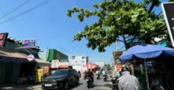 chính chủ bán đất mặt tiền vườn làian phú đông q12 dt 127 giá 9ty
