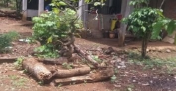 Ngộp quá ngộp ông anh rể cần bán gấp lô đất nhà 250m2 có 100 thổ cư giá 180tr