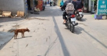 Hàng Hiếm - Vị Trí Đỉnh - Nhà Bắc Từ Liêm, Kinh Doanh. Ô TÔ, Mặt Ngõ Thông, LÔ GÓC, 4 TẦNG. 4.3 TỶ