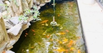 cuộc sống xa hoa với biệt thự vườn KĐT dịch vọng cầu giấy 28m 5t 76tỷ