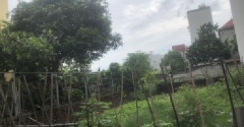 Chính chủ cần bán 66,5m Thôn Đông Trù,Xã Đông Hội,Đông Anh đường ô tô 7c giá công khai 53tr/m đầu tư hoặc ở đều ok LH 0376692001