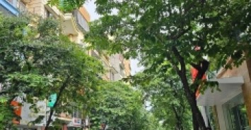 Siêu Đẹp Nhất Quận Đống Đa, Phân Lô HOÀNG CẦU, 80m x  6TẦNG, Giá hơn 25 tỷ.