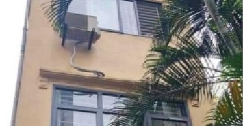 TIN ĐƯỢC KHÔNG ! P XUÂN LA, 55M2, 3 TẦNG, DÂN XÂY, Ô TÔ ĐỖ 15M, CHỈ NHỈNH 4 TỶ.