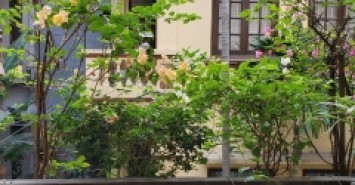 GIẢM SỐC 600TR CĂN NGÕ THÔNG LẠC LONG QUÂN 60M2, 3 TẦNG, MT 6M, HỢP XÂY HOMSTAY