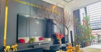 Siêu Vip Cầu Giấy - Phố Phạm Thận Duật 52M x 7T. Giá 14.6 tỷ.