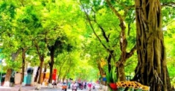 Bán Nhà Mặt Phố Phan Đình Phùng Quận Ba Đình. Sổ 52m Thực Tế 60m Xây 10 Tầng Nhỉnh 70 Tỷ. Cam Kết Ảnh Thật Mô Tả Chính Xác. Chủ Thiện Chí Muốn Thanh Khoản Gấp. 2059