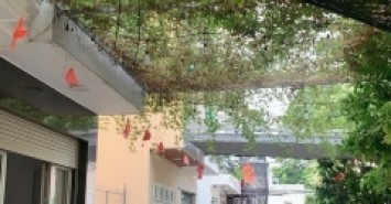 Bán lô đất  hẻm xe hơi quận Tân Phú