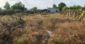 giảm 50%  1000m2 đất ONT Tân Tiến - TX LaGi chỉ 1.3 tỷ gần Biển Tam Tân