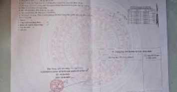 Bán Đất Thắng Hải 1033m2 giá 1 tỷ