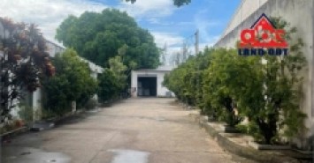 X066 Nhà xưởng với kết cấu kiên cố. sở hữu công trình lâu dài. vị trí dễ tuyển nguồn lao động